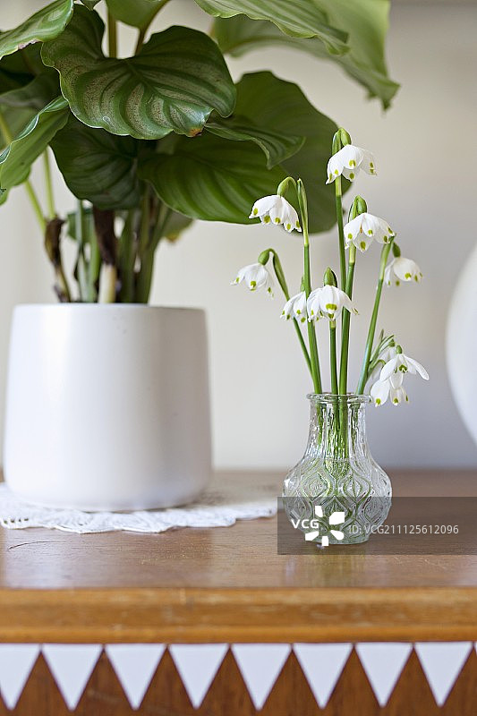 小水晶花瓶里的铃兰花束图片素材