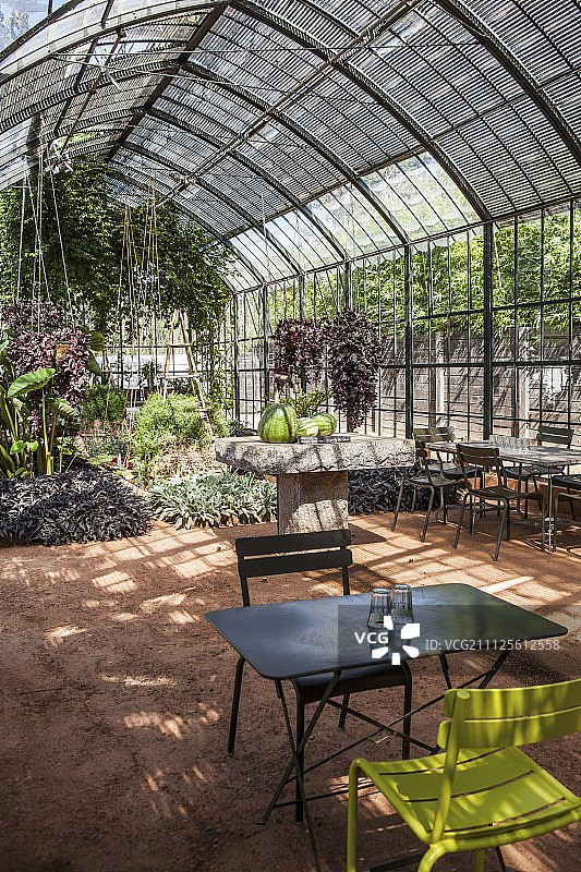 温室茂盛植物，中央石桌与折叠园艺桌图片素材