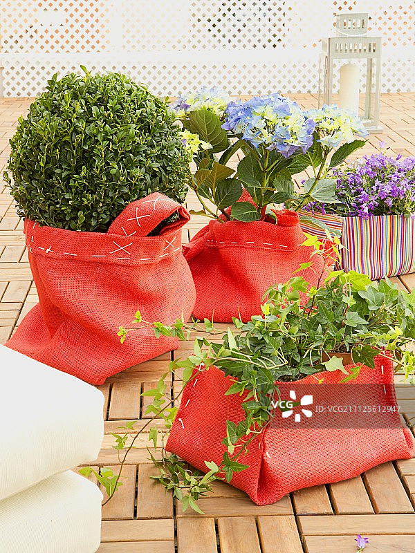 装饰性手工缝制红色亚麻袋中的露台植物图片素材