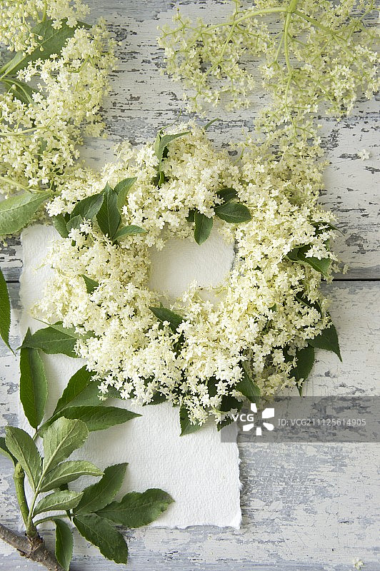 手工接骨木花环图片素材