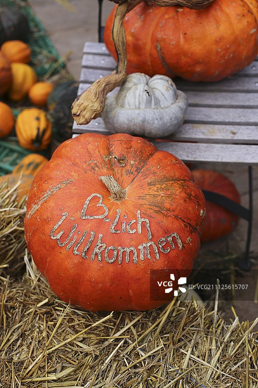 椅子和稻草捆上的各种南瓜图片素材