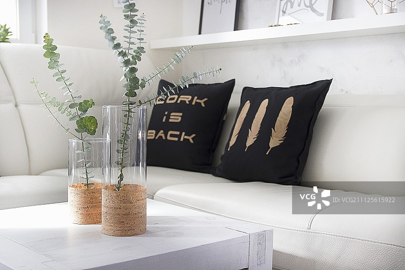 用软木片装饰的玻璃花瓶和靠垫图片素材