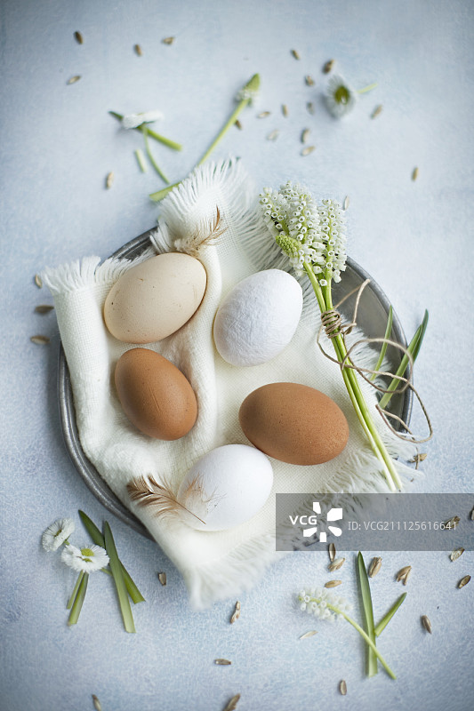 亚麻餐巾上的棕白色鸡蛋和复活节巢中的葡萄风信子图片素材