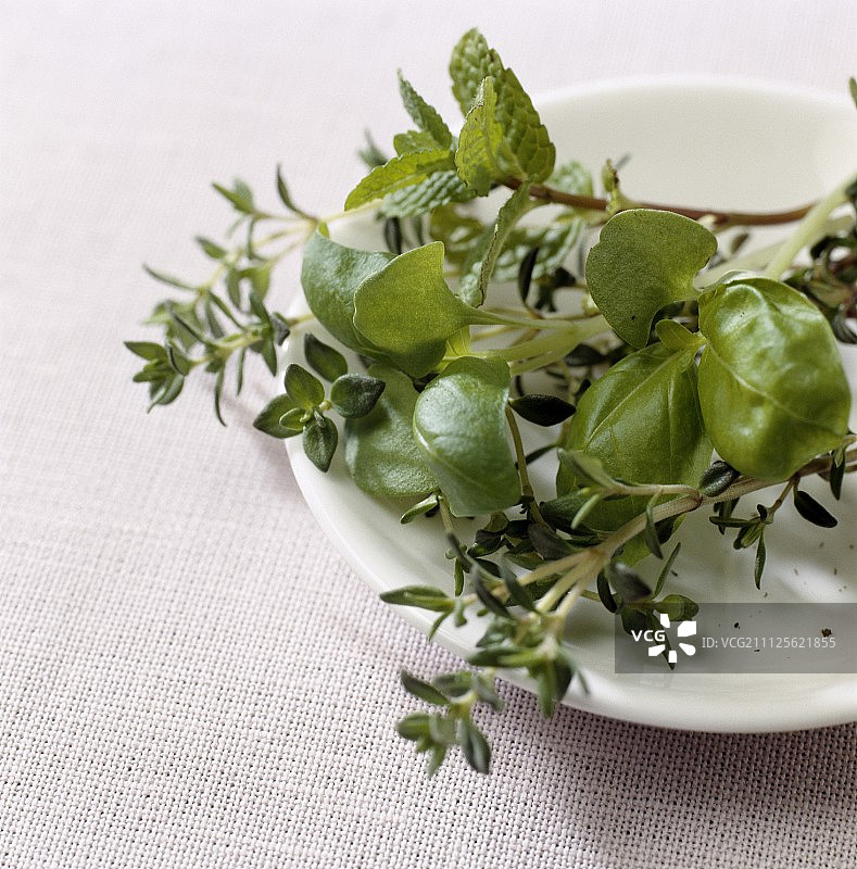 柠檬百里香、薄荷和罗勒图片素材