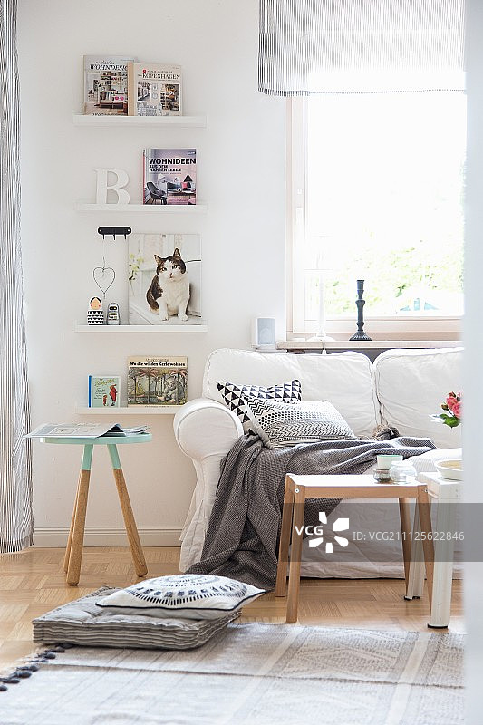 斯堪的纳维亚风格白色沙发与悬浮书架图片素材