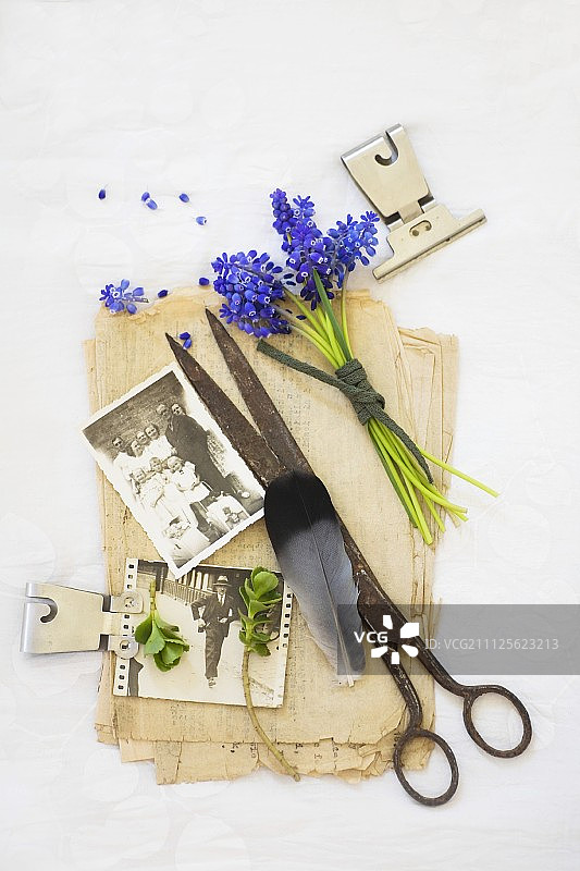 复古剪刀、家庭照片和葡萄风信子在旧纸堆上的静物摆放图片素材