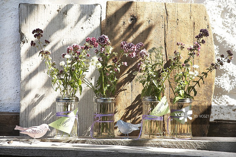 马郁兰和星芹花在带标签的糖罐中图片素材