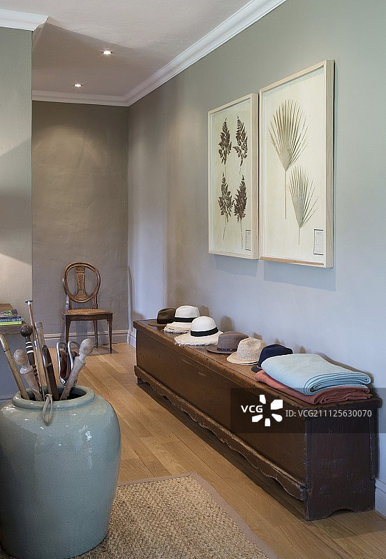 走廊墙上植物图案下的木箱上的帽子图片素材