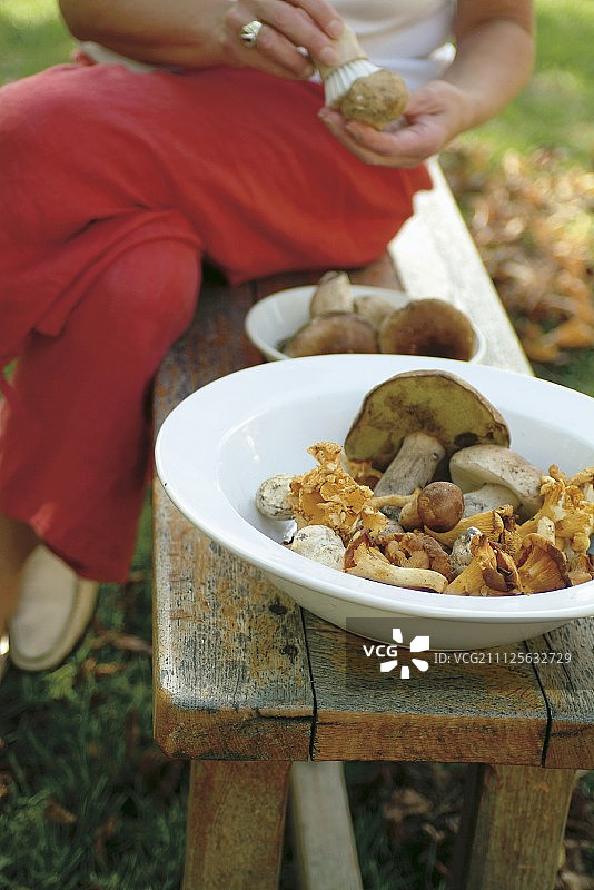 清洁蘑菇图片素材