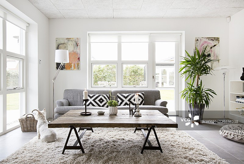 客厅法式窗前，再生木制成的乡村咖啡桌和灰色沙发图片素材