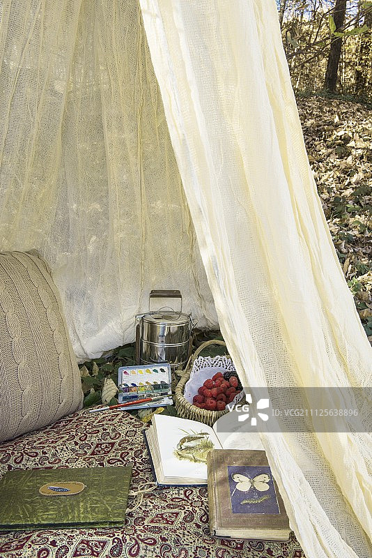 蚊帐、食物、书籍和水彩颜料盒图片素材