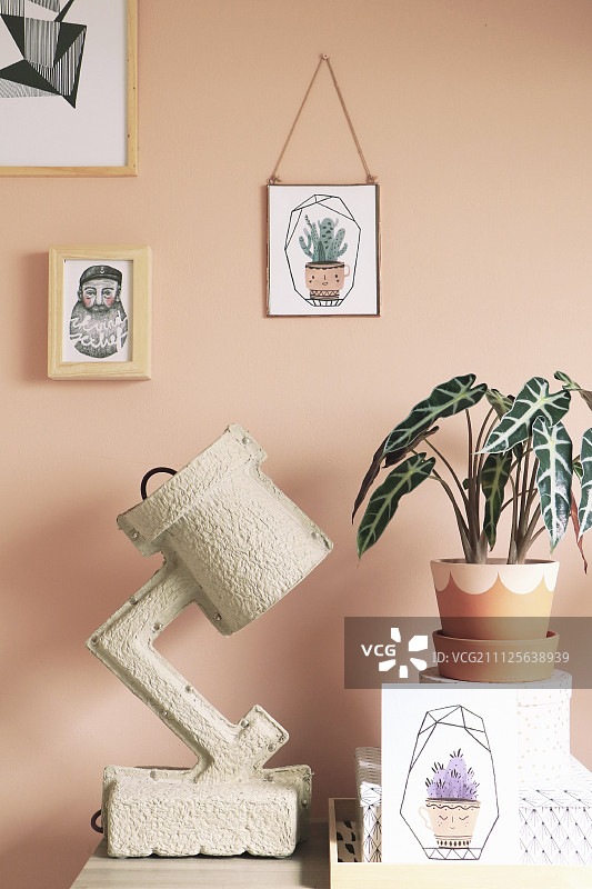 种在彩绘赤陶盆里，纸灯旁的象耳图片素材