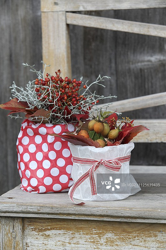 玫瑰果秋叶盆栽装饰于复古木凳图片素材