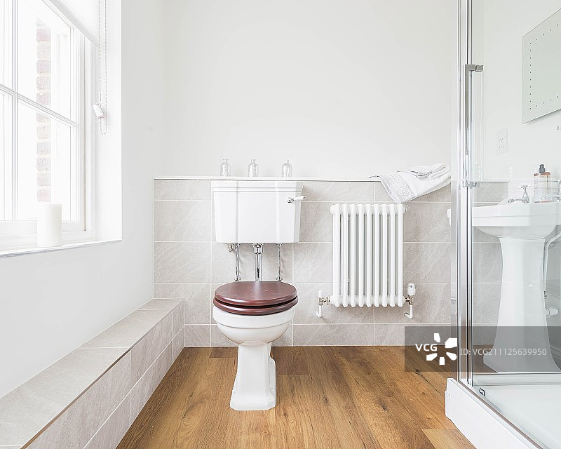 明亮的客用浴室，配有柱式座便器和低矮的架子图片素材