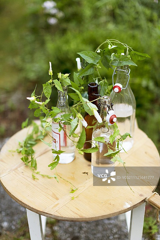 室外木桌上的旋顶瓶装Bindweed图片素材