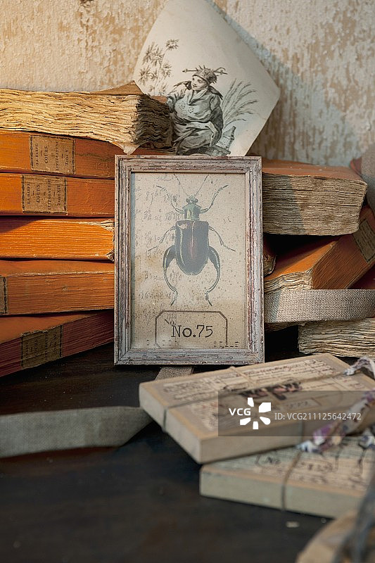 堆叠的古董书籍和甲虫复古画框图片素材