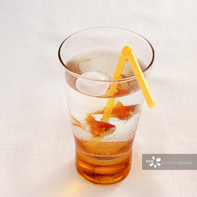 金鱼鸡尾酒图片素材