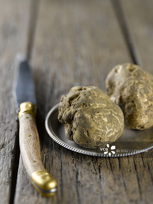 冬季松露图片素材