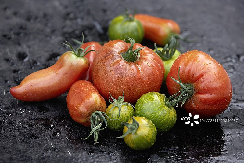 精选番茄图片素材