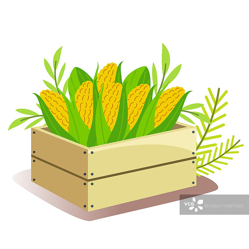 水果图标图片素材