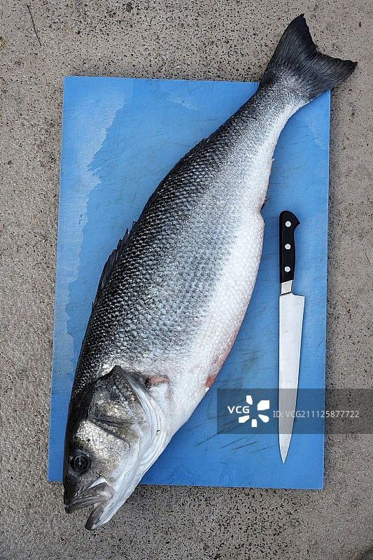 完整的新鲜海鲈鱼图片素材