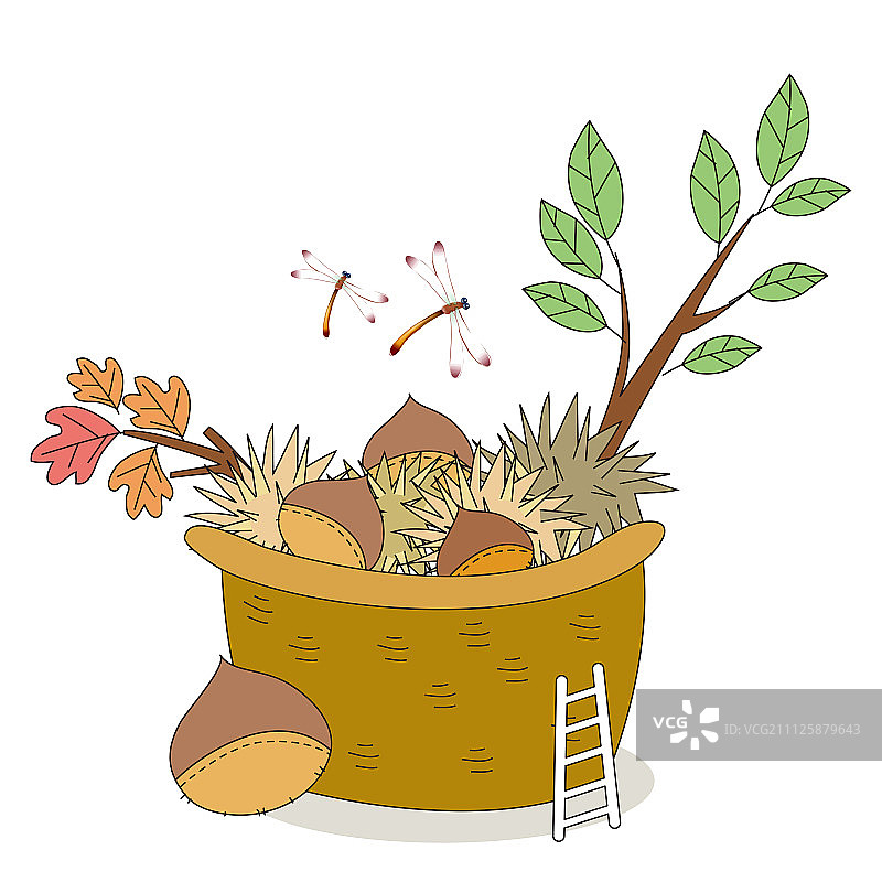 秋季插画图片素材