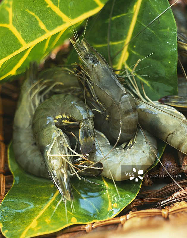 生虾仁图片素材