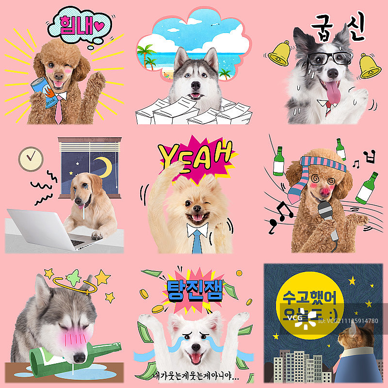 宠物表情合集009图片素材