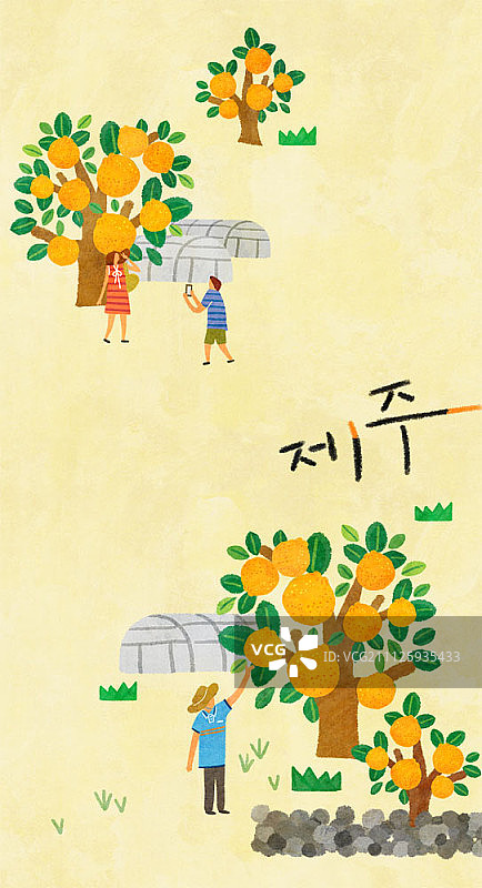 济州岛插画图片素材