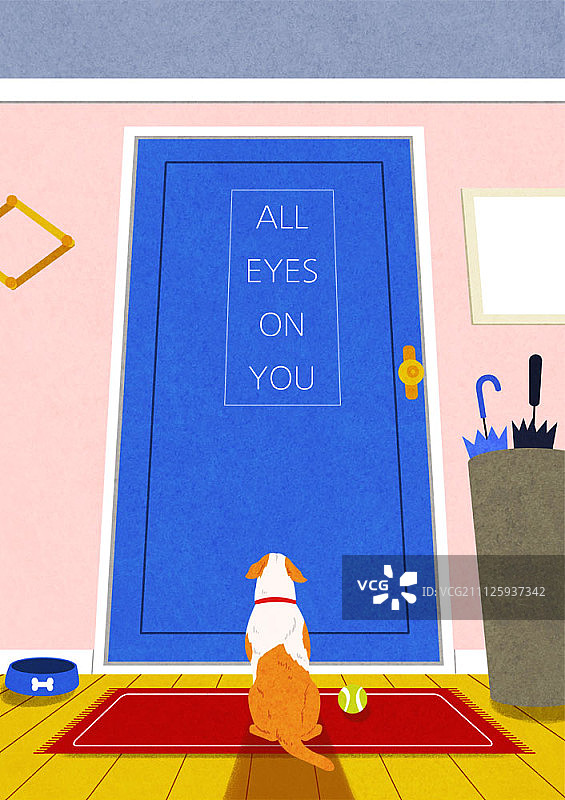 在门口等待主人的小狗图片素材