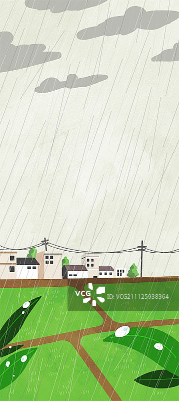 雨中稻田图片素材