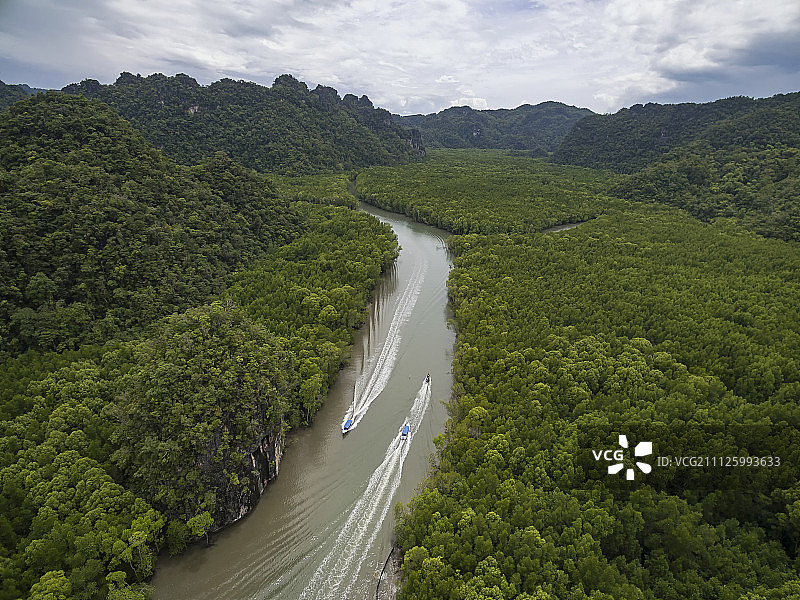 马来西亚兰卡威红树林图片素材