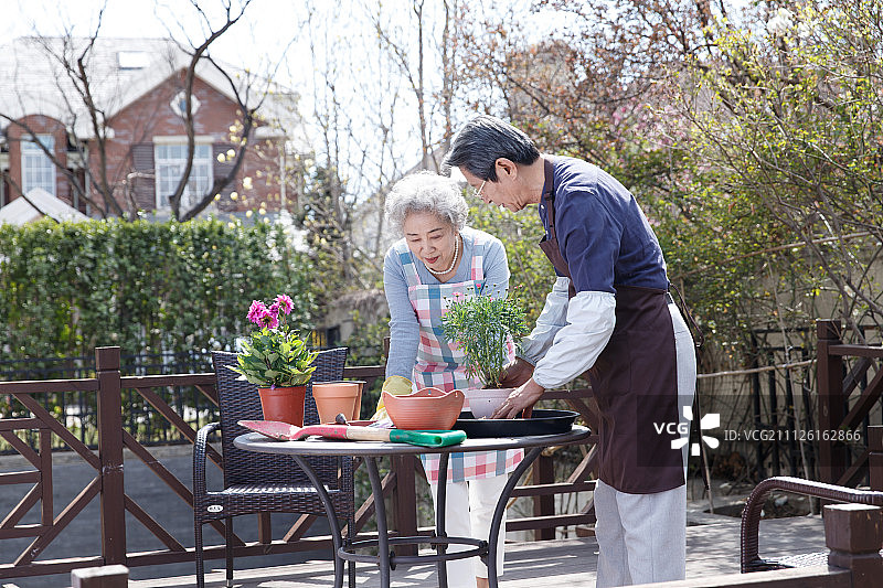 老年夫妇在院子里种花图片素材