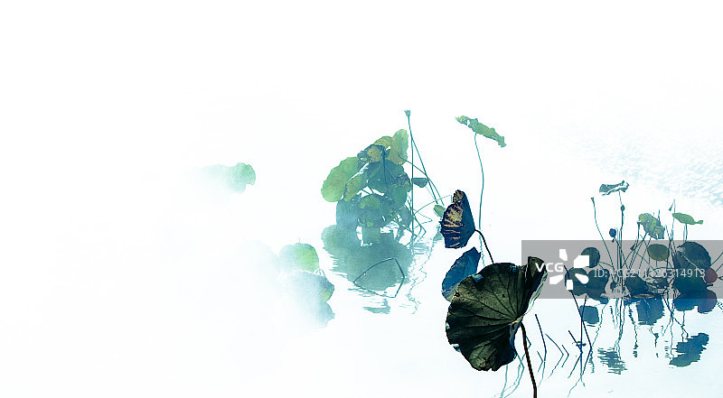 水墨画风荷塘图片素材