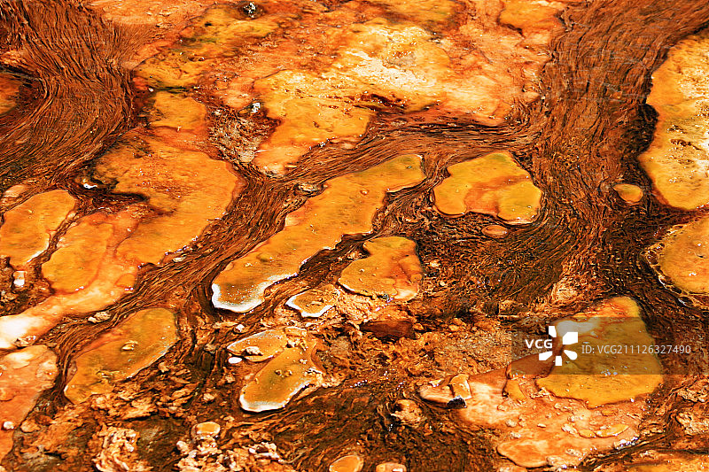 黄石国家公园猛犸温泉地热区特写图片素材