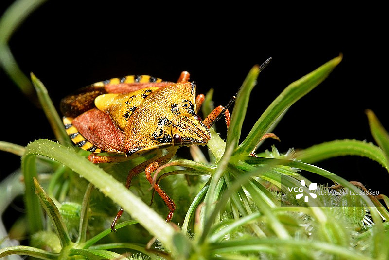 色彩斑斓的图片素材