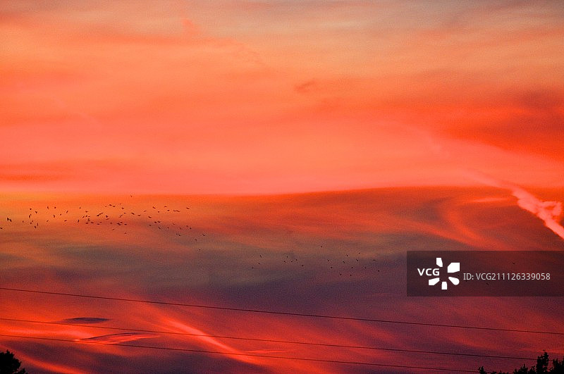 密史脱拉风图片素材