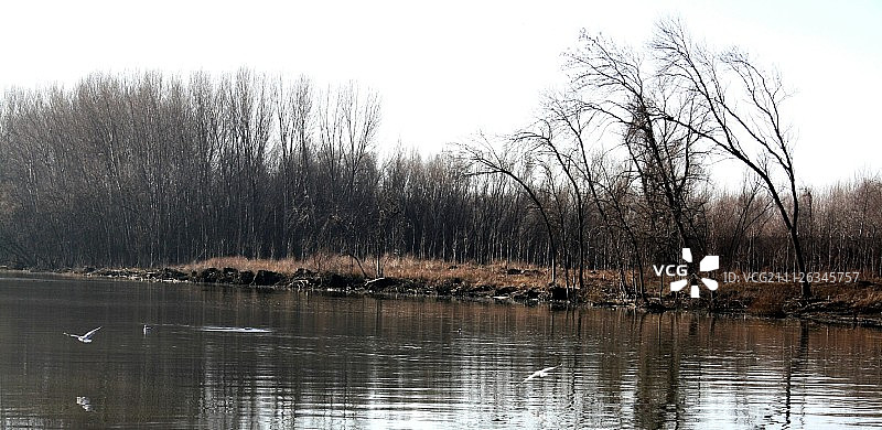 我知道你是谁，但我又是什么？图片素材