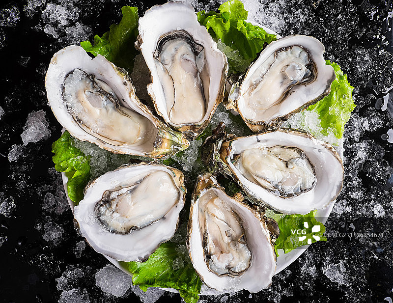 生蚝图片素材