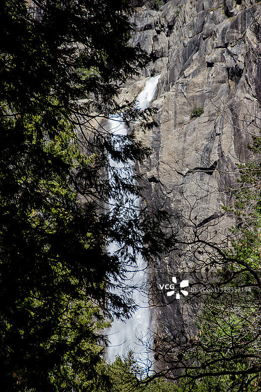 灌木丛后面图片素材