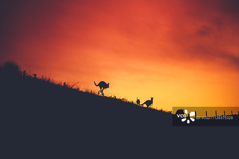 日落时的鲁斯图片素材