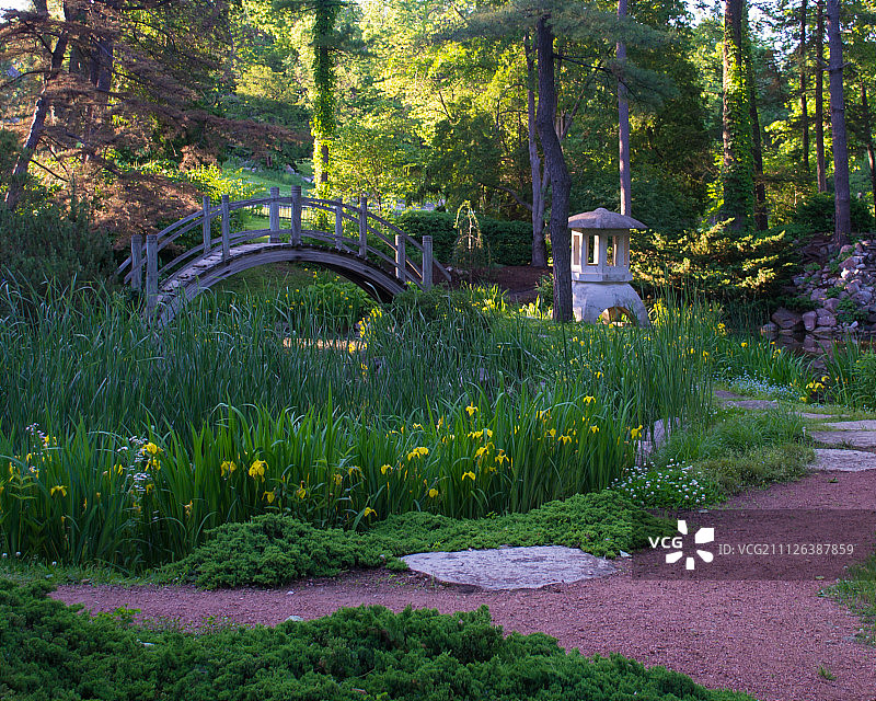 在伊利诺伊州圣查尔斯法比安森林保护区拍摄的照片图片素材