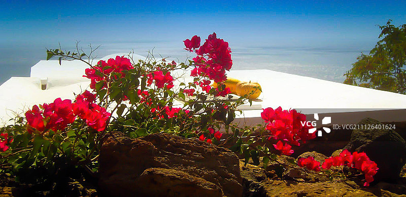 向潘泰莱里亚致敬图片素材