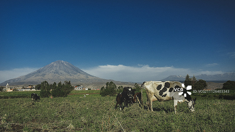 秘鲁阿雷基帕图片素材