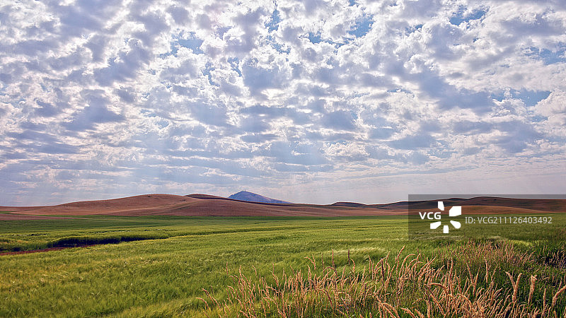 斯特普托，华盛顿图片素材