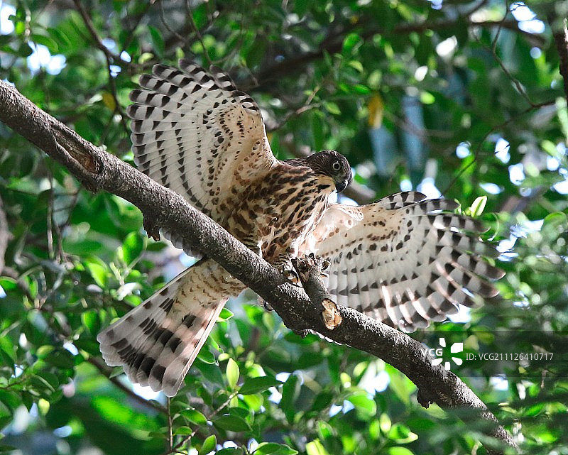 中国台湾台北图片素材