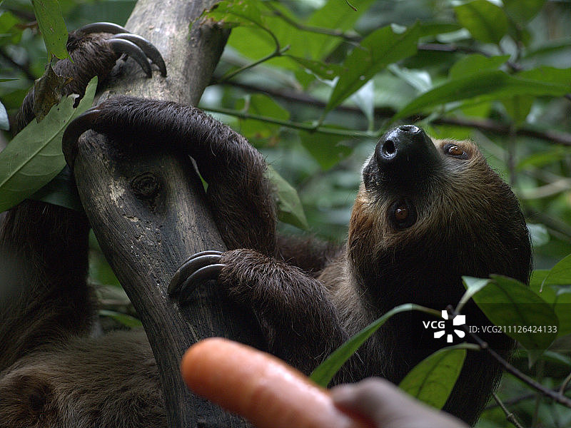 Sophie Heslop摄影作品图片素材