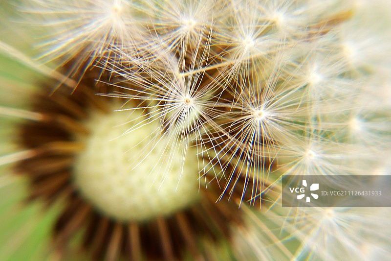 危地马拉克萨尔特南戈图片素材