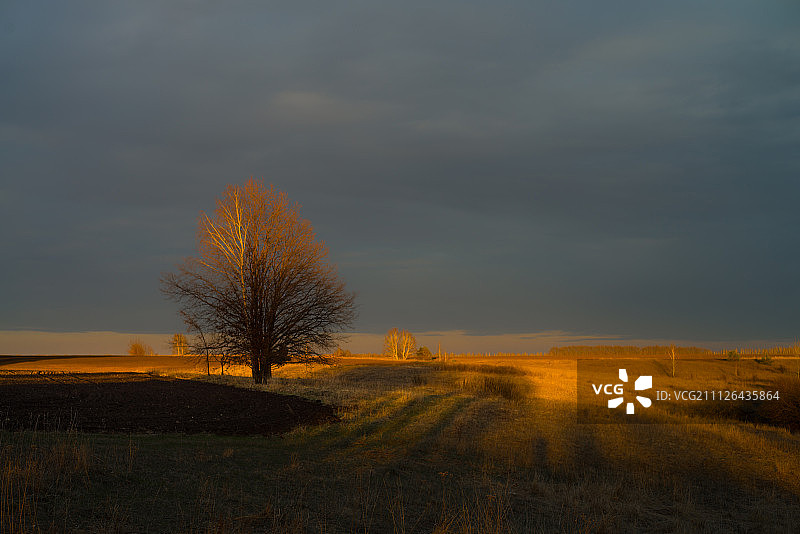 坦波夫，俄罗斯图片素材