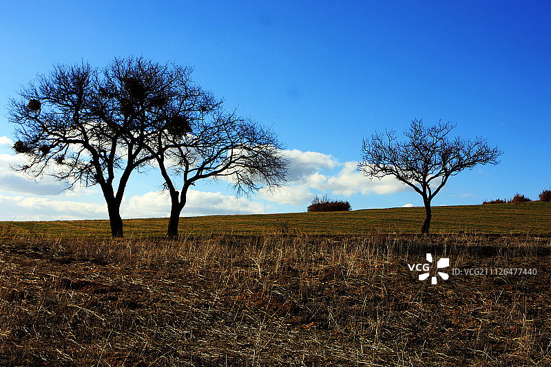 土耳其约兹加特（中东地区）图片素材